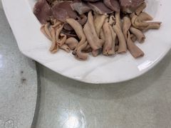 -姚林轩