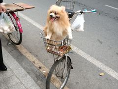 -永兴烧腊