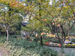 -尹兰楼西北风情餐厅(嘉定店)