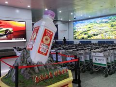 -乌鲁木齐天山国际机场-T3航站楼