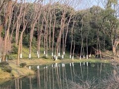 -杭州植物园