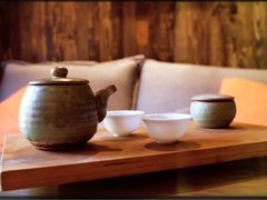 -看见远方·莫干遥远的山民宿