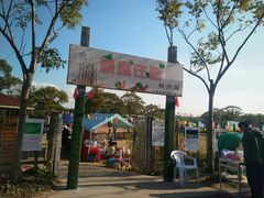 -上海长兴岛郊野公园