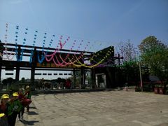 -杭州湾海上花田景区