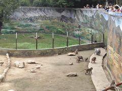 -西安秦岭野生动物园