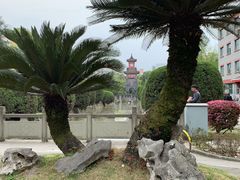 -四川大学(华西校区)