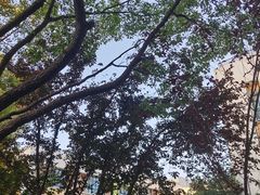-苏州工业园区斜塘街道莲花幼儿园(敦煌分园)