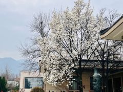 -秦始皇帝陵博物院(兵马俑)