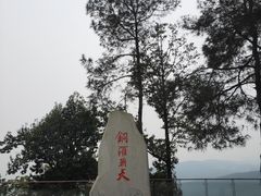 -铁山坪森林公园