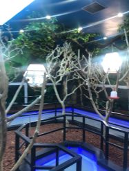 -未来动物城动物主题公园(大悦城店)