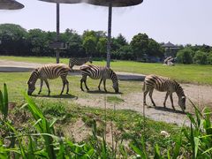 -宁波野生动物园