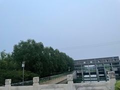 -马家湾湿地公园