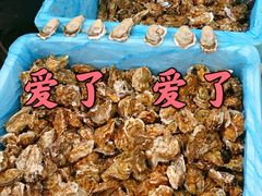 -京深海鲜市场(光彩路店)