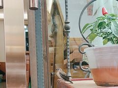 -花鸟鱼私家小厨(文殊院店)