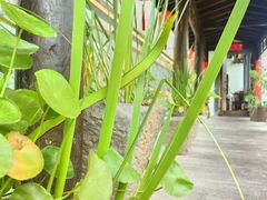 -道南書院·私房菜·早午茶·茶馆