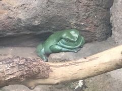 -悉尼海洋生物水族馆