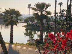 -枫香湖儿童公园