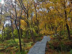 -阳台山自然风景区