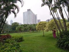 -东风公园