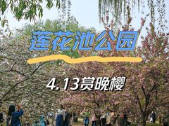 -莲花池公园