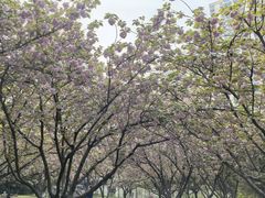 -苏州河梦清园环保主题公园