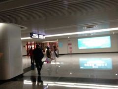 -石家庄正定国际机场-T2航站楼