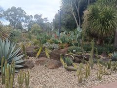 -墨尔本皇家植物园