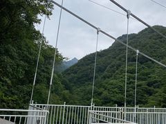 -牛背梁国家森林公园