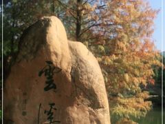 -云溪植物园