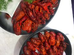 -新日月育才大酒店-中餐厅(环城北路店)