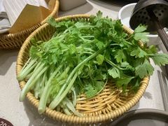 -巴奴毛肚火锅概念餐厅