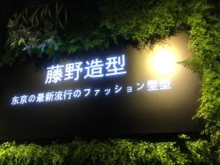 点击看大图 -藤野造型