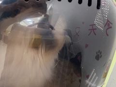 -美联众合动物医院·24h京西诊疗中心