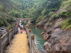 -广州白江湖森林公园