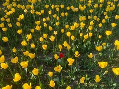 -长春公园(普阳街道)