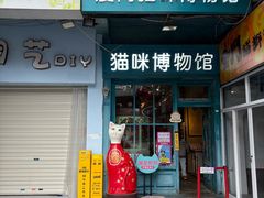 -猫咪博物馆(顶澳仔猫街店)