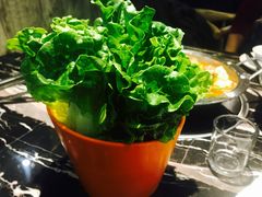 -古乐牛香·鲜牛肉牛杂火锅(五一中路店)