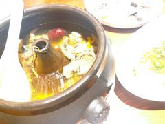 -菌自由丨野生菌火锅特色庭院餐厅(丽江古城店)