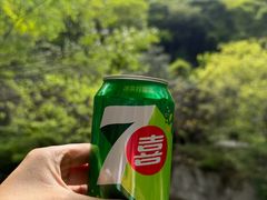 -少华山国家森林公园