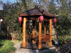 -合肥滨湖国家森林公园