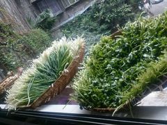 -万县面馆(高笋塘店)