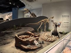 -自贡恐龙博物馆