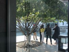 -绿杨馄饨临顿路店