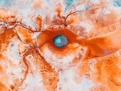 -家味螺蛳粉&烤鱼(五角场店)