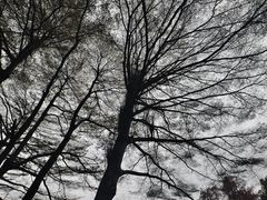 -晓港公园