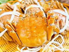 -蟹天蟹地农家菜·阳澄湖大闸蟹(浅水湾店)