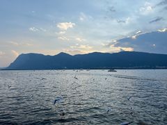 -海埂大坝