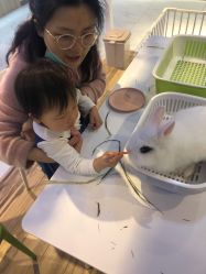 -Moni星球萌宠·小马宝莉·灵蛇·高端高阶全萌宠互动体验俱乐部(红豆国际广场店)