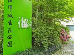 -西湖风景区-江洋畈生态公园