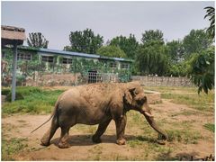 -西安秦岭野生动物园